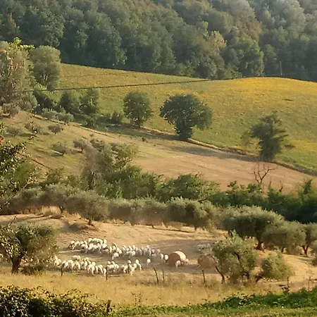 Apartament Casalemonache - Nel Casale Umbro