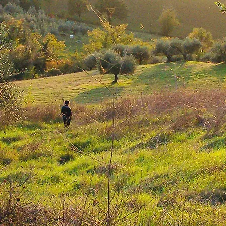 Casalemonache - Nel Casale Umbro San Gemini