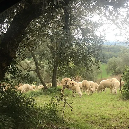 Casalemonache In Casale In Umbria * San Gemini