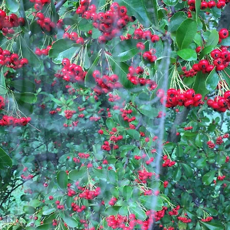 Casalemonache - Nel Casale Umbro