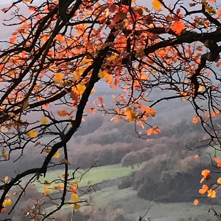Casalemonache Appartamenti In Casale In Umbria *
