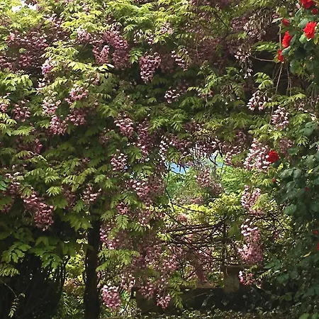 Casalemonache - Nel Casale Umbro Apartament San Gemini